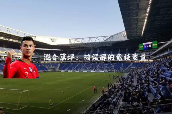 混合草坪：被误解的竞技变量